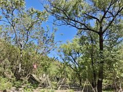 -白水寺森林公园