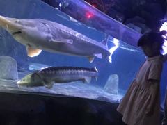 -左海海底世界