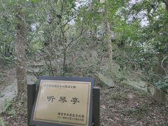 -紫金山山顶公园