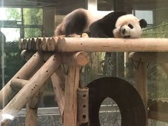 -西安秦岭野生动物园