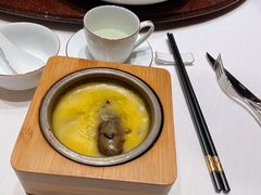 金汤野米扣花胶-东富酒家(龙湖西溪天街店)
