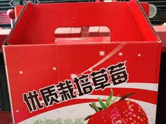 -小鱼草莓采摘园农家乐·小鱼餐厅