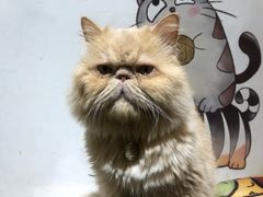 -小时光咖啡馆(开森度假森林店)
