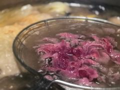 -汕头八合里海记牛肉店(清河店)