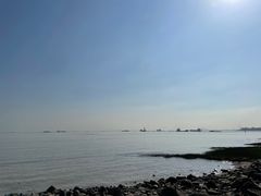 -吴淞炮台湾湿地森林公园烧烤区