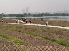 -海珠湖公园
