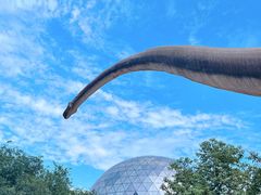 -陕西自然博物馆