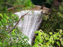 -祁门牯牛降观音堂风景区