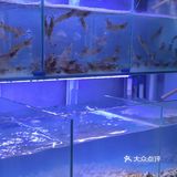 中山探店｜首家独创水牛奶冬阴功汤底火锅‼️