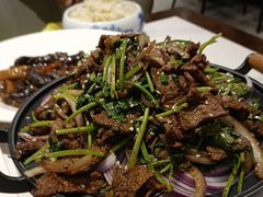-新侨小馆(东直门北小街店)