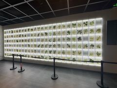 -广东中医药博物馆