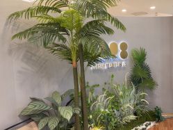 点击看大图 -八佰伴8008星级形象店