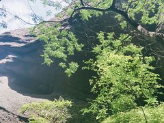 -冠豸山景区