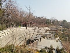 -北岭山森林公园