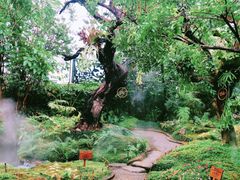 -Chom Cafe and Restaurant