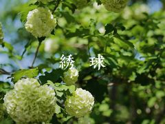 -国家植物园