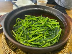 -熠盛粤味·顺德桑拿鸡(永康路店)