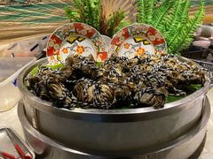-五月罗马海鲜自助餐厅(陆家嘴店)