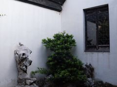 -定园