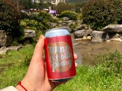 -铁山坪森林公园