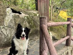 -海南文笔峰盘古文化旅游区