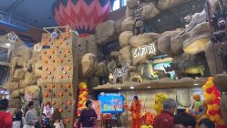 -卡通尼·Safari非洲探索乐园·生日会(金桥国际商业广场店)