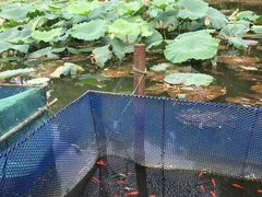 -白塘生态植物园