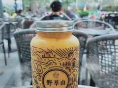 -野萃山·潮汕厚果汁(十亩地店)