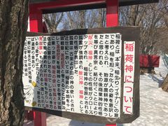 -宫城藏王狐狸村