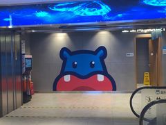 -盒马鲜生(大成店)