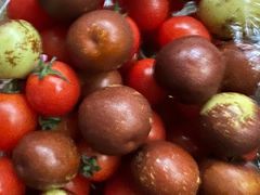 -叶氏兄弟果业(大连鲁迅店)