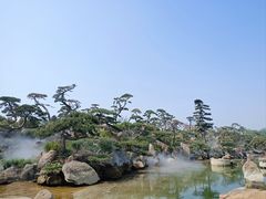 -罗红摄影艺术馆