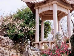 -梅花山(明孝陵内)