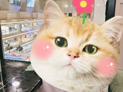 -1981牛排西餐厅(海信店)