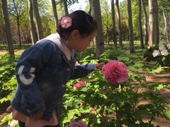 -仁和公园(顺义区)