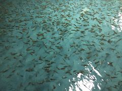 -汕头莲花山度假村温泉