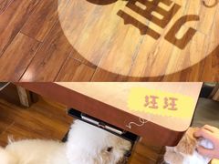 -喵园·猫主题咖啡厅·撸猫·猫咖(国贸店)