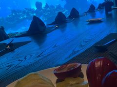-海棠湾洲际-涛·海底餐厅·美人鱼·自助餐·海底隧道