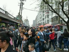 -哈尔滨道外花鸟鱼市场