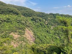 -广州白江湖森林公园