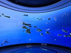 -大连市规划展示中心