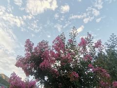 -天津盘山风景名胜区