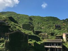 -枸杞岛