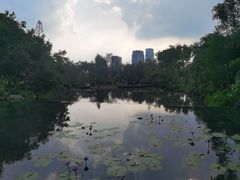 -云溪植物园