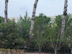-北京化工大学(东校区)