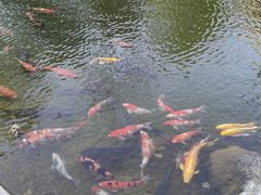 -青岛鑫江温德姆酒店