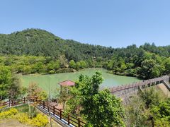 -广州白江湖森林公园