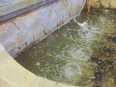 -井水小厨·湘菜(活力广场店)