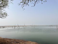 -野鸭湖国家湿地公园