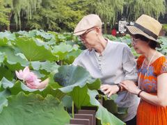 -陈家山荷花公园